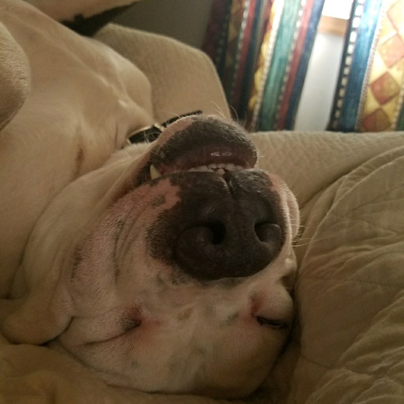 Meet your Posher, Amanda - Picture 1 of 1